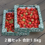 ご家庭用バラ詰め 2箱（1.8kg）完熟いちご皆足姫.jpg